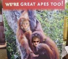 A visit to London Zoo A visit to London Zoo